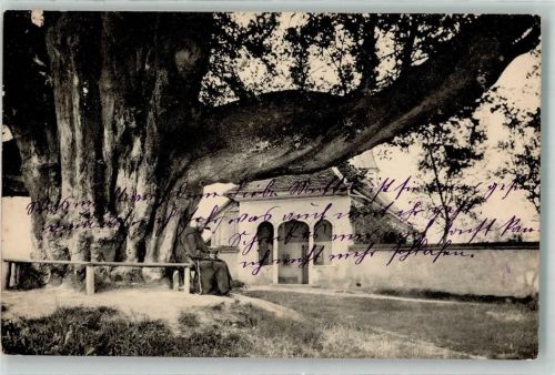 5620 Bremgarten AG 1910 - Einsiedelei Emaus Riesenlinde Mönch