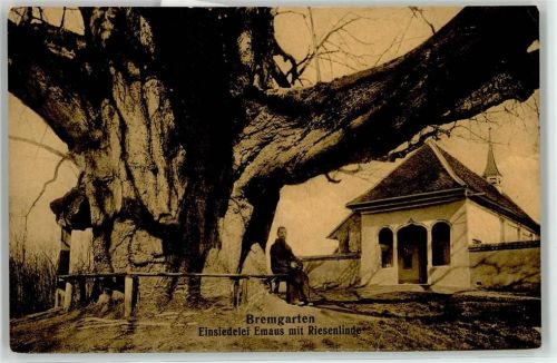 5620 Bremgarten AG - Einsiedelei Emaus riesenlinde