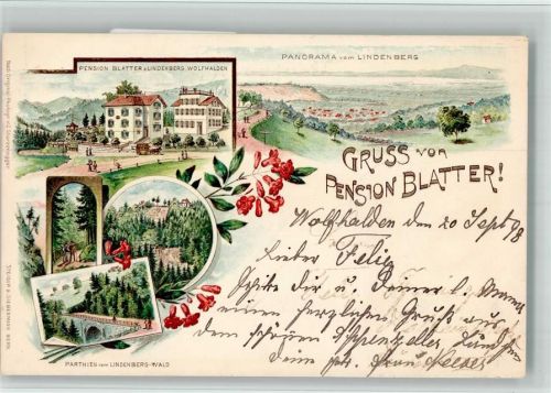 9427 Wolfhalden 1898 BOAKC Lithographie Pension Blatter Zum Lindenberg Wald