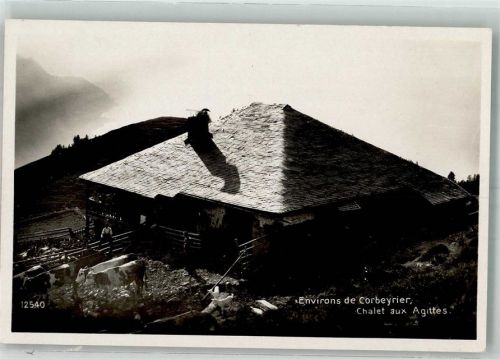 1856 Corbeyrier Foto AK Chalet aux Agittes