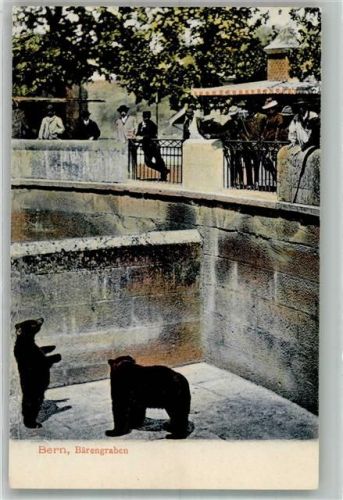 3000 Bern Berne - Zuschauer beobachten die Bären im Graben