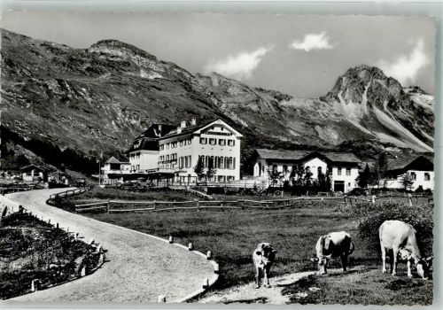 7516 Maloja Foto AK Hotel Maloja-Kulm