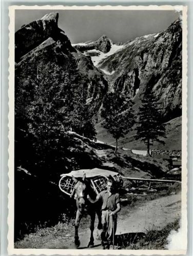 Alpstein - Im Alpstein Der Seealpsäumer Säntis