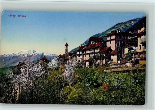 6645 Brione sopra Minusio - Blühende Bäume