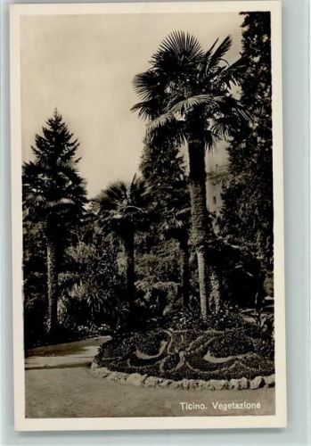 Cavagnoli 1933 - Vegetazione AK