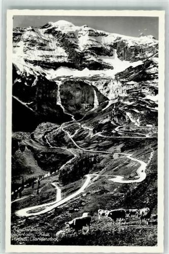 Klausenpass Foto AK Foto von Matt Kühe Jägerbalm Klus Claridenstock