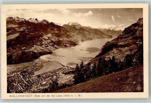 8880 Walenstadt Foto AK Vogelschau Foto Gaberell