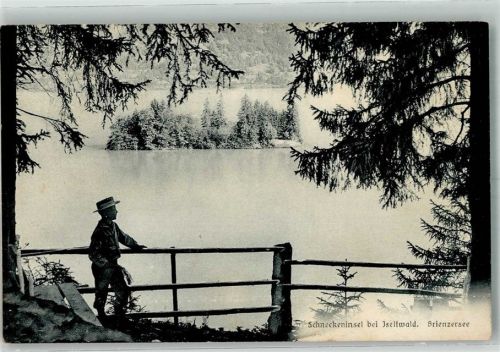 3807 Iseltwald 1926 Foto AK Schneckeninsel