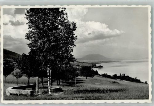 2028 Vaumarcus 1950 Foto AK Camp de Vaumarcus