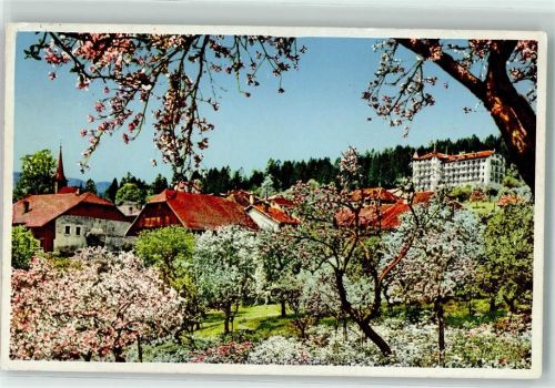 1338 Ballaigues - Bäume im Blust