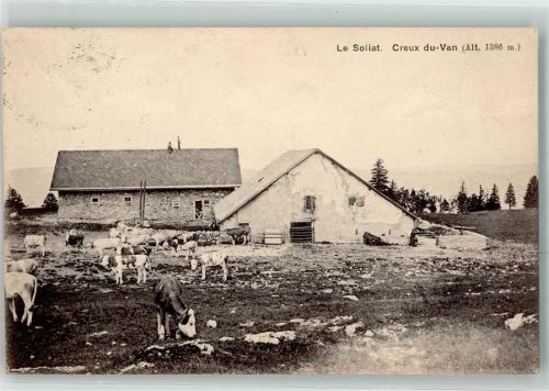 Le Soliat - Creux du-Van Kühe