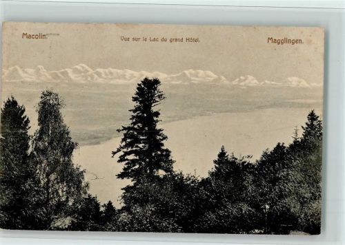 2532 Magglingen Macolin - Vue sur le Lac du grand Hôtel Bäume