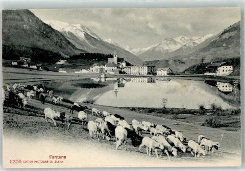 7553 Tarasp - See Schafherde