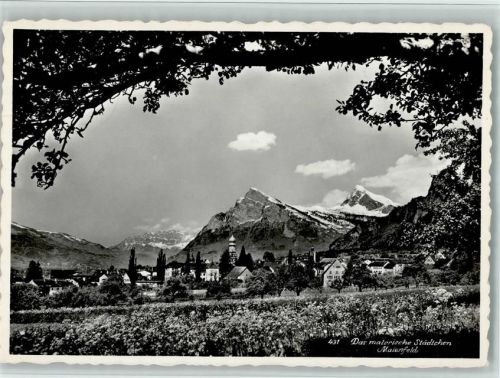 7304 Maienfeld - Das malersiche Städtchen