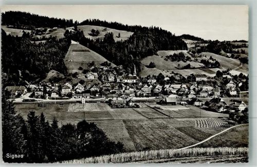 3534 Signau Foto AK Feldpost Sch.HB.BTTR. 187