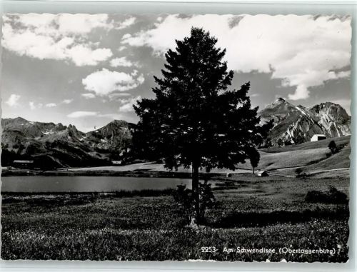 Schwendisee - Obertoggenburg Baum