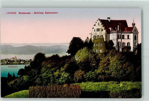 8268 Salenstein - Schloß Salenstein Insel Reichenau