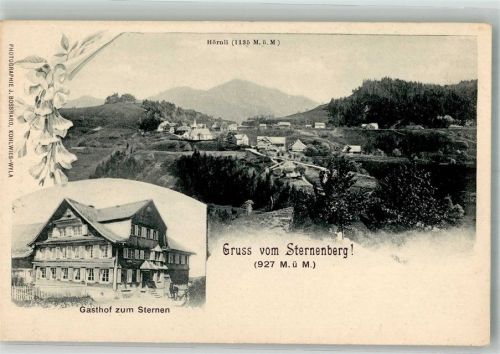 8494 Bauma Foto AK Gasthaus zum Sternen Sternenberg
