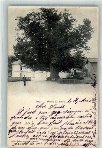 1008 Prilly 1907 Foto AK Gasthaus