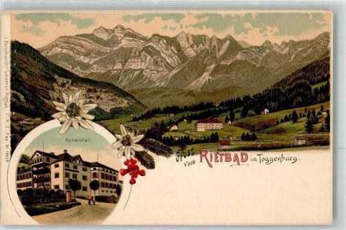 9651 Rietbad Lithographie Kuranstalt Edelweiss