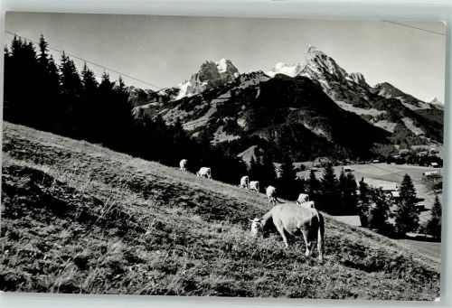 3778 Schönried - Rübli Gummfluh Weidende Kühe