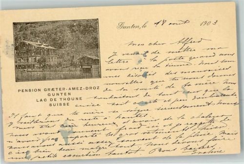 3654 Gunten 1903 - Pension Graeter Amez Droz Lac de Thoune