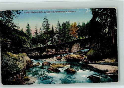 9643 Krummenau 1929 - Naturbrücke AK