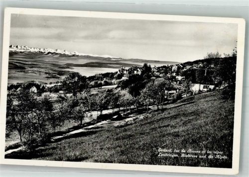 2533 Leubringen Evilard 1943 Foto AK Bielersee Alpen