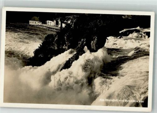 8212 Neuhausen am Rheinfall Foto AK Rheinfall