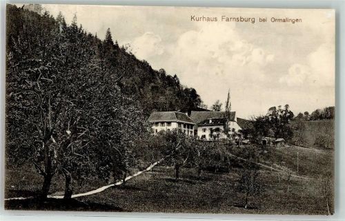 4466 Ormalingen 1913 - Kurhaus Farnsburg