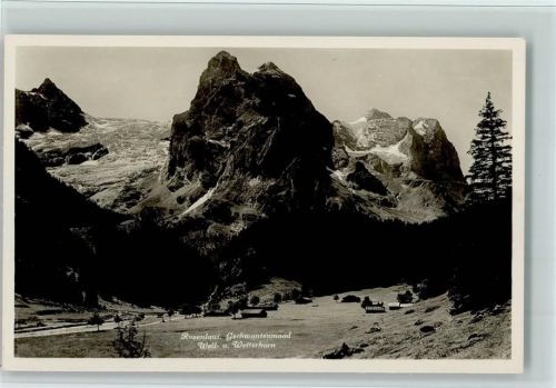 3860 Rosenlaui - Gschwantenmaad Well- und Wetterhorn