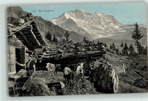 Jungfrau BE - Ziegen