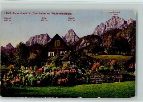 8880 Walenstadt - Bauernhaus mit Churfirsten am Wallenstadtberg