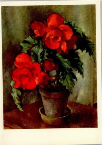 A. Holzmann - Begonien - Blumentopf Pro Infirmis Schweiz 1940 Künstlerkarte
