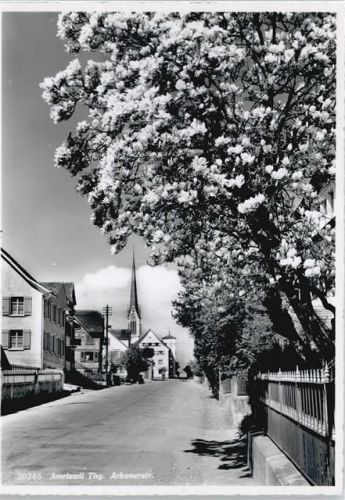 8580 Amriswil Räuchlisberg - Arbonerstrasse