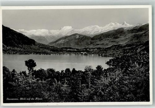 6405 Immensee 1935 Foto AK Immensee Blick auf die Alpen