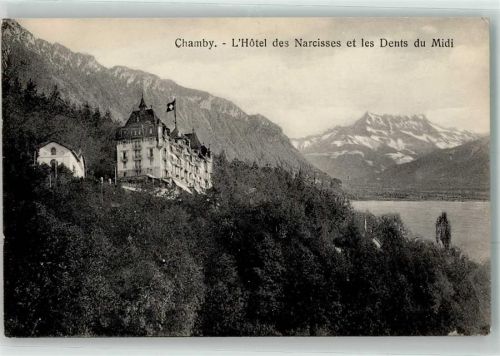 1832 Chamby KEINE AK Grand Hotel des Narcisses Dent du Midi Informationskarte