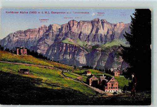 8898 Tannenboden Flumserberg - Kurhäuser Alpina Gamperdon Tannenboden