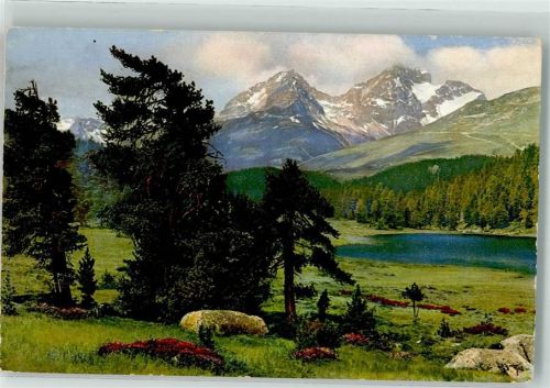 Stazersee 1916 - Piz d´Albana Piz Julier Photochromie Serie 233 Nr. 3781