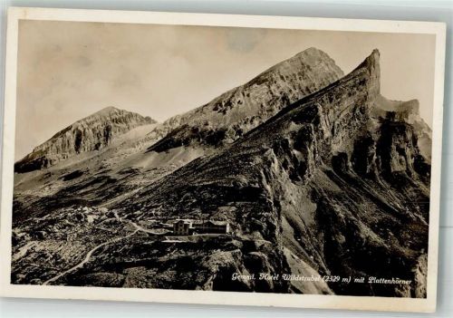 Gemmipass Wallis Foto AK Hotel Wildstrubel