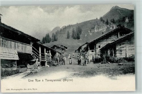 1882 Gryon - Une Rue a Taveyannaz