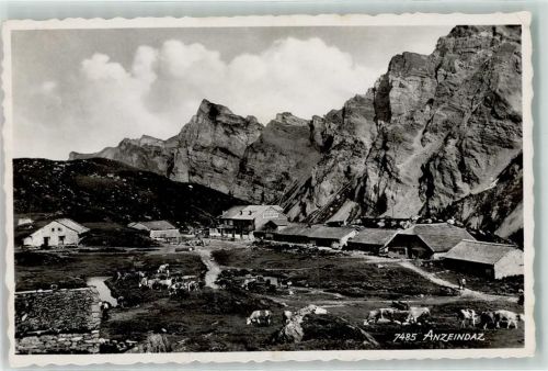 Anzeindaz - Weidende Kühe Feldpost EMBAT Terrioital 122