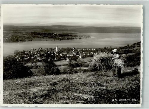 8266 Steckborn 1940 Foto AK Heuernte