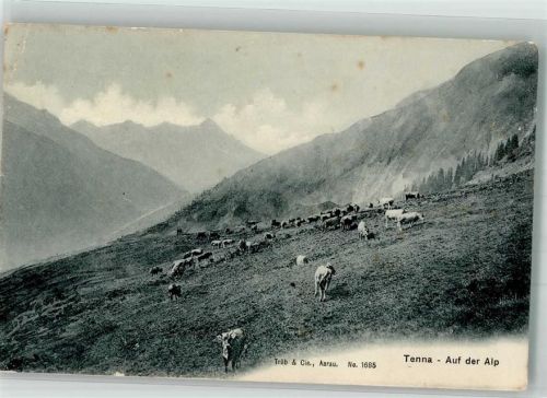 7106 Tenna 1907 Foto AK Alp