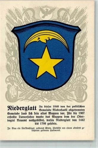 1929 - Zürcher Gemeindewappen Serie X Nr. 50 , sehr gute Erhaltung AK