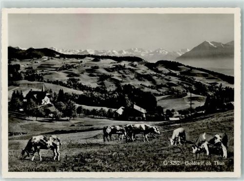 3624 Goldiwil (Thun) - Hotel Waldpark Kühe