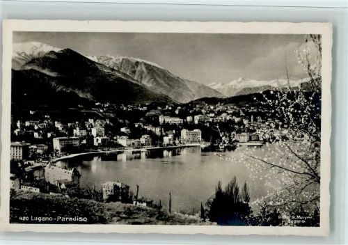 6900 Paradiso - Blühender Baum