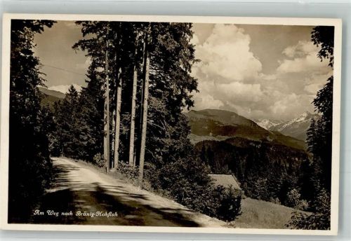 3860 Brünig Foto AK Weg nach Brünig-Hohfluh