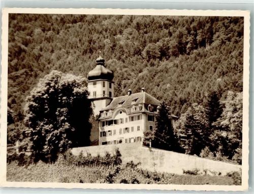 9436 Balgach Foto AK Schloss Grünenstein