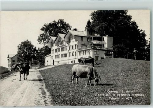 9413 Oberegg - Gasthaus Rössli Kühe
